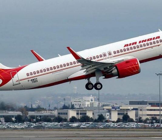 Delhi-London AI flight delayed after ants found in business class