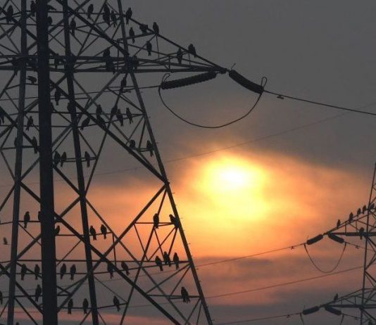 Energy crisis deepens in India; just four days of coal reserves left