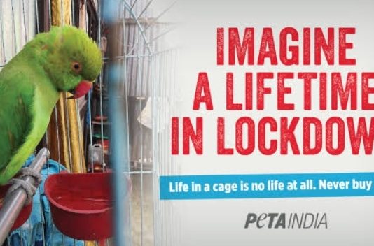 PETA India’s ‘Eternal Lockdown’ Display Urges Freedom for Caged Birds
