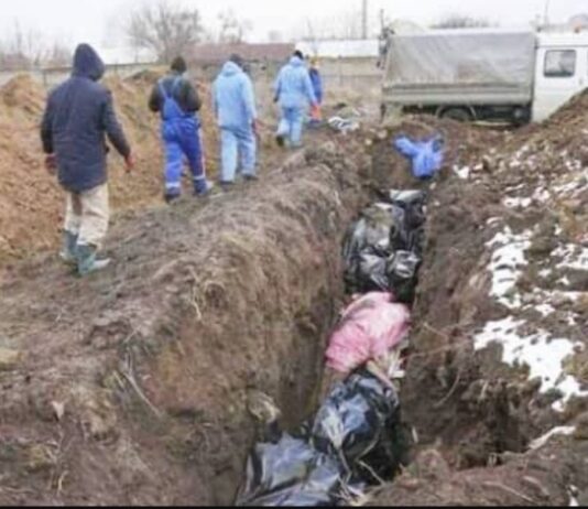 рдпреВрдХреНрд░реЗрди рдХреЗ рдЬрдВрдЧрд▓ рдореЗрдВ рдПрдХ рдФрд░ рд╕рд╛рдореВрд╣рд┐рдХ рдХрд╝рдмреНрд░ рдорд┐рд▓реА